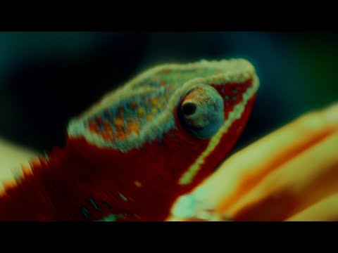 Video thumbnail for i love u