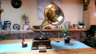 Lili Marleen SVEN-OLOF SANDBERG - 78 Rpm Schellack Grammophon