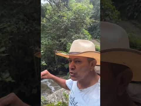📣🇨🇴🏞️Reserva natural cascadas y más cascadas  en Santo Domingo, Antioquia #afiladosjemaycomunica