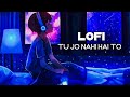Mein Zinda Hoon Lekin Kahan Zindagi Hai Lofi Remake