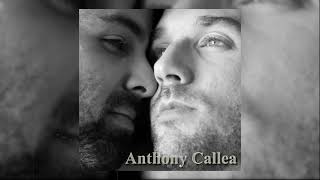 10.Anthony Callea - Take It To The Heart