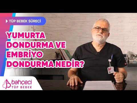 Yumurta Dondurma ve Embriyo Dondurma Nedir?