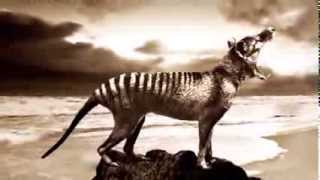 TRACK 07 - BURNING RODNEY