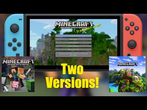 Für die Switch gibt es ZWEI Minecraft-Versionen!