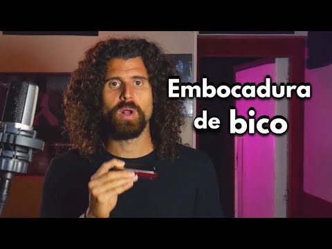 Dicas para gaita: Embocadura de bico (gaita diatônica e cromática)