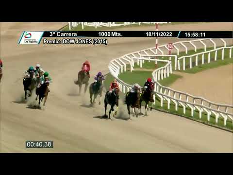 221118 c03 - IRRESISTIBLE - HIPODROMO LAS PIEDRAS