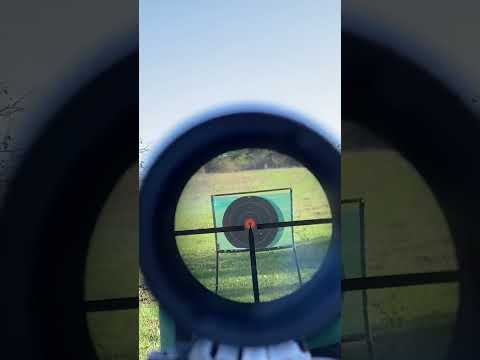 mosin-nagant 91/30 PU sniper #shorts