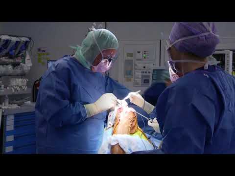 Manuelle Therapie in Osteochondrose Effizienz Psychosomatische Schmerzen im Nacken und Schultern