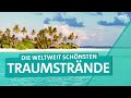 Traumstrände weltweit: Copacabana, Bondi und Miami Beach | ARD Reisen