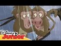 Lejonvakten Babianerna Och Den Vinande Stormen Disney Junior Sverige