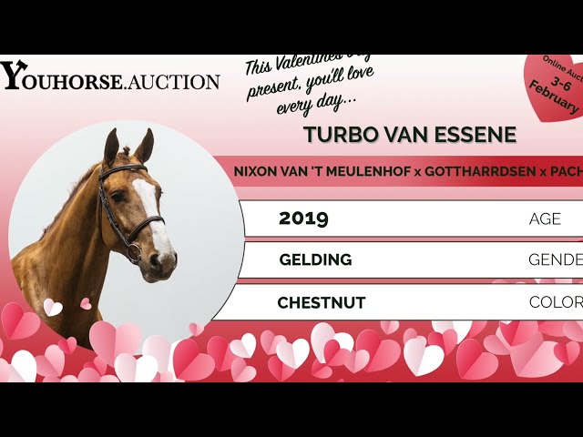 Turbo Van Essene