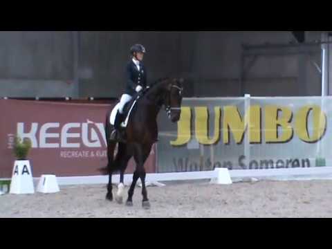 JIPPIYADE VDW (EL Capone x Jazz x Argus) and Jose van Haaren in Someren (13May2018-2)