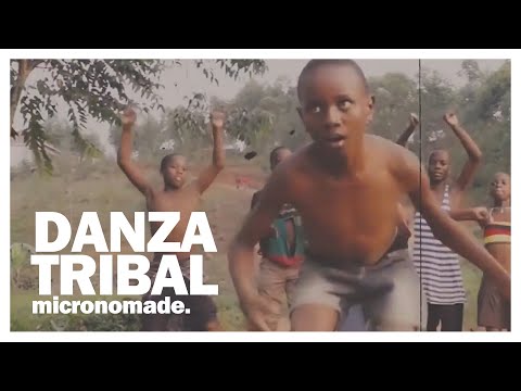 Danza Tribal - Micronomade (2019) Reggae / Dub / Steppers