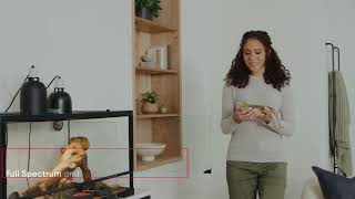 PetSmart Build The Perfect Reptile Terrarium Habitat