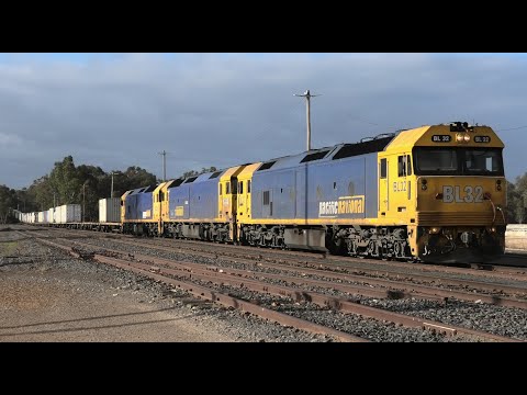 BL32-G540-BL31 on 7901V at Dunolly.  21-09-24.