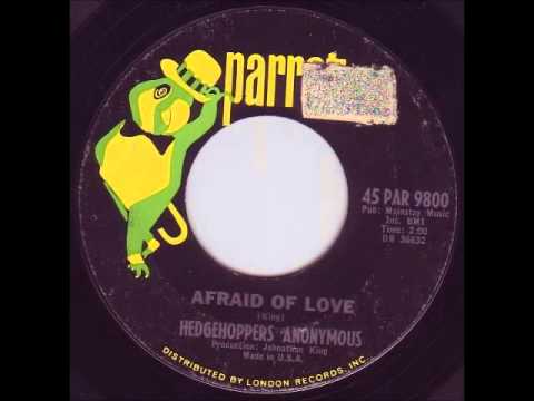 Hedgehoppers Anonymous - Afraid Of Love
