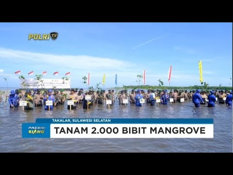KAKORPOLAIRUD BAHARKAM POLRI PIMPIN PENANAMAN POHON MANGROVE DI TAKALAR