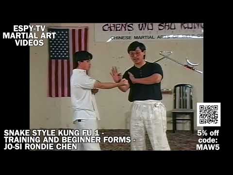 SNAKE STYLE KUNG FU 1 - TRAINING AND BEGINNER FORMS - JO-SI RONDIE CHEN