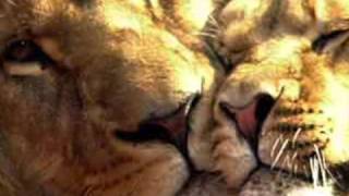 &quot;Coastline Journey&quot; by Mishka