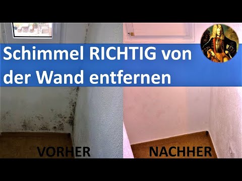 Schimmel RICHTIG von der Wand entfernen