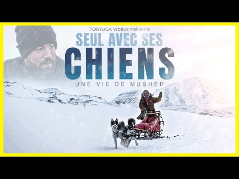 UNE VIE DE MUSHER - Seul avec ses chiens de traîneau en Norvège