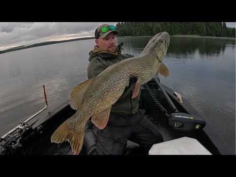 ELOKUINEN KALAREISSU | AHVENTA, KUHHOO JA HAUKI ENNÄTYKSET UUSIKSI!