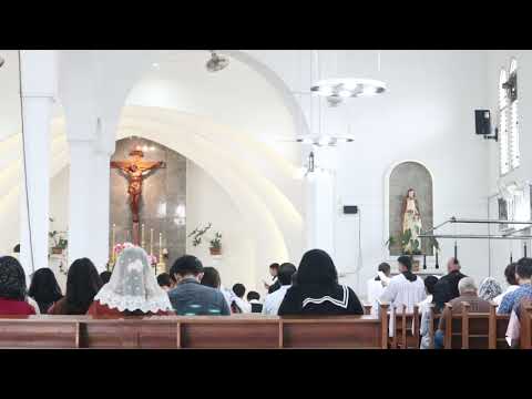 Dominica XV Post Pentecosten 