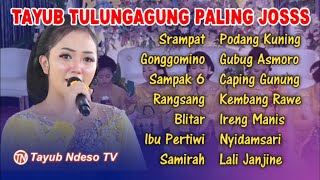 Download lagu TAYUB TULUNGAGUNG FULL ALBUM PALING ENAK DI DENGAR mp3