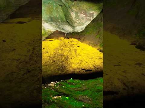 gruta em pedra bonita mg #djibrasil #interior #paisagemnatural ##interior #minasgerais