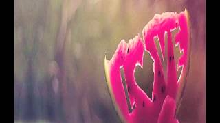 Don omar ft arcángel_ Quisiera  Hablarte