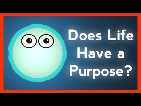 A unique take on the meaning of life
