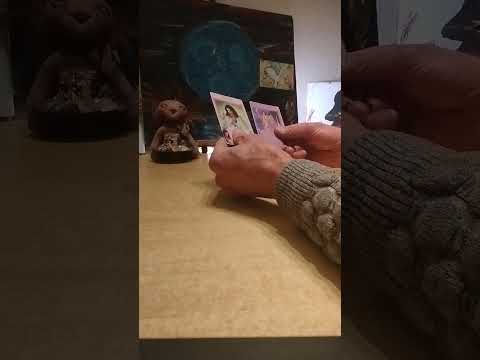 Angel Cards of the Day #angelcard #lionese