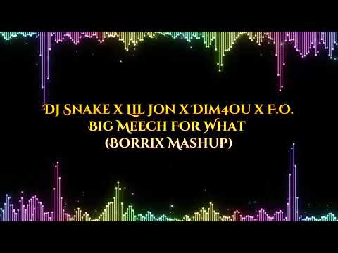 Dj Snake x Lil Jon x Dim4ou x F.O. - Big Meech For What (Borrix Mashup)