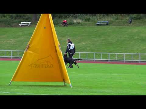 C 88 yasco vom haus kasfeld