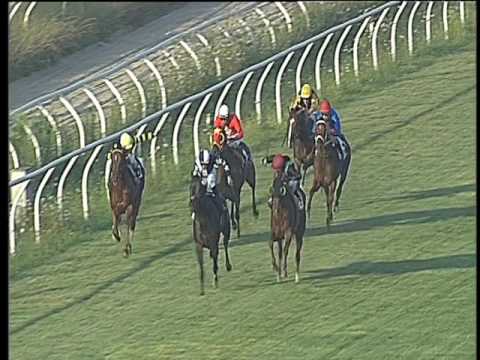 Galoppo 19/07/2017 - 3ª corsa