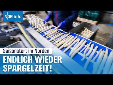 Video Thumbnail: Spargelernte in Niedersachsen: Saisonstart im Spargel-Land | NDR Info