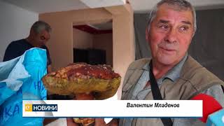 Цената на диворастящите гъби се срина