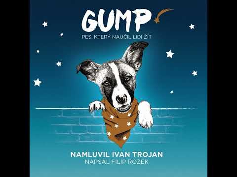 Marek Ztracený   Vítr do plachet   film Gump