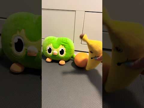 Wild Duo Owl Funny IRL Chaos 😂 Totally Viral Madness