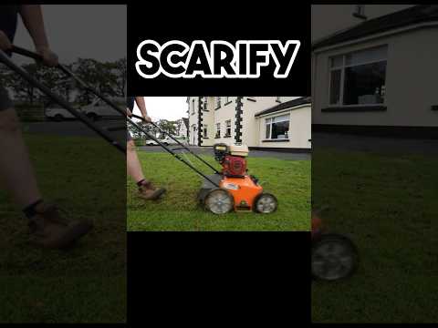 The secret to a lush lawn isn't fertiliser #lawncaretips #lawncare #lawncarecommunity