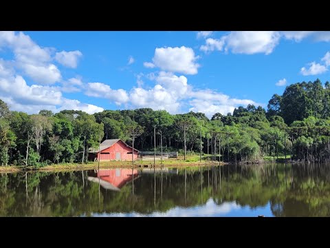 Excelente Sítio à venda no Capão Alto!! 🐂 🐑 🌳