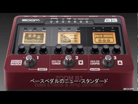 B3 Bass Effects & Amp Simulator