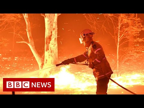 オーストラリアが火事。放火の緊急事態」の主張を否定する - BBC ニュース (Australia fires: Debunking 'arson emergency' claims - BBC News)