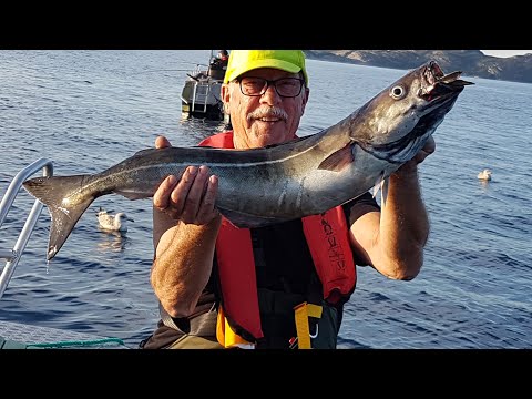 Angeln in Norwegen   Rottem 2020