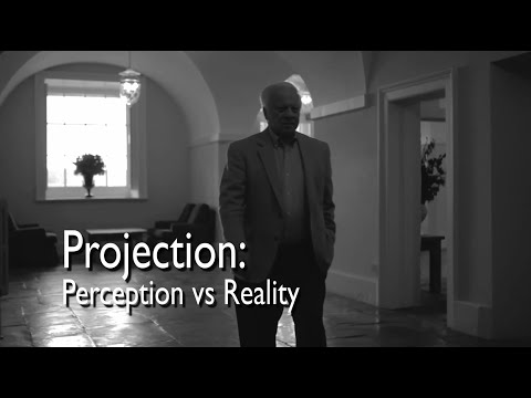 Projection:  Perception vs Reality