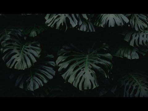 Leonell Cassio - Sittin' Throwin' Rocks (ft. Lily Hain) (legendado)