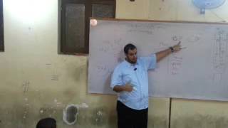 Internal Medicine - Dr Allam | CNS_3 | AllTebFamily.com