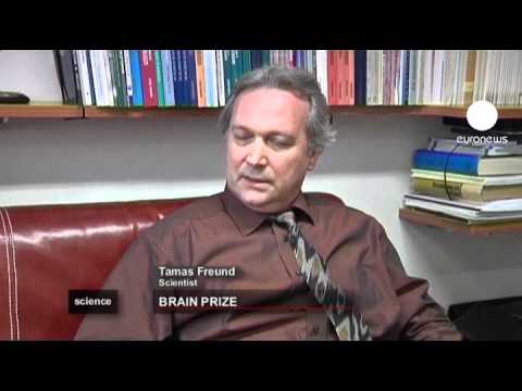 euronews science - Neue Erkenntnisse über das Gehirn