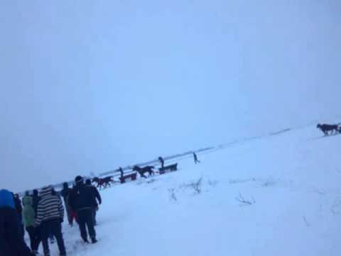 Boboteaza 2016 Constantin Gabrielescu