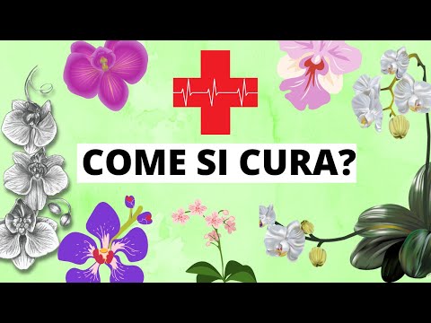 La chilocaloria su uova un verme quanti consegnare Punture da parassiti alla persona